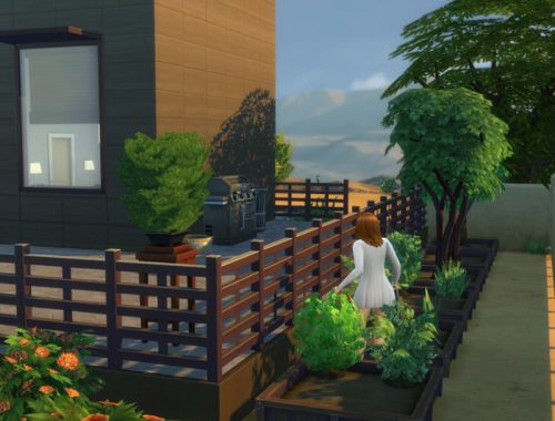Warm Winds Oasis house