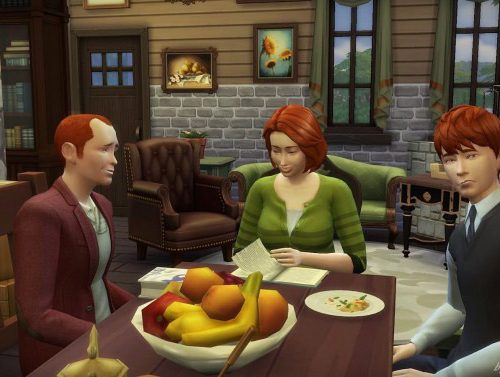 The Weasleys´ house