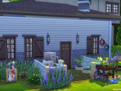 The Weasleys´ house