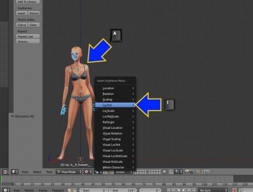 Create a Pose tutorial for Beginners