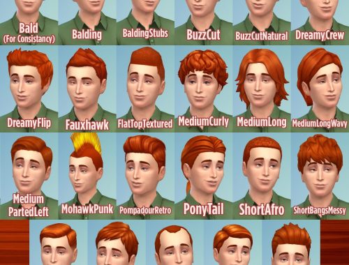 Ginger all male hairs