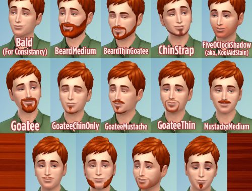 Ginger all male hairs