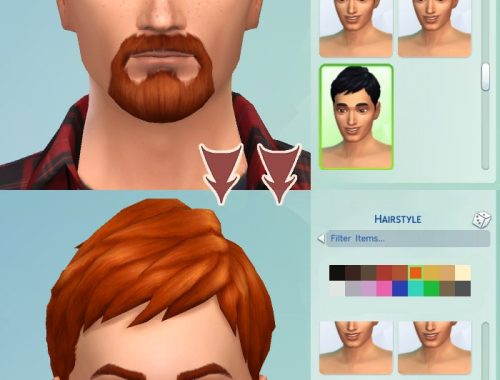 Ginger all male hairs