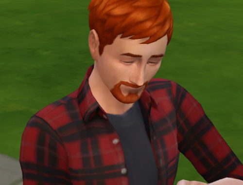 Ginger all male hairs