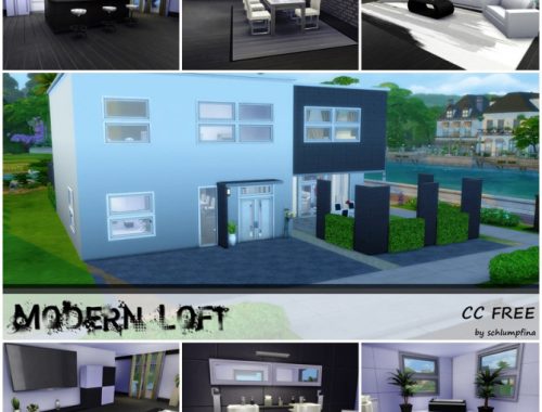 Modern Loft