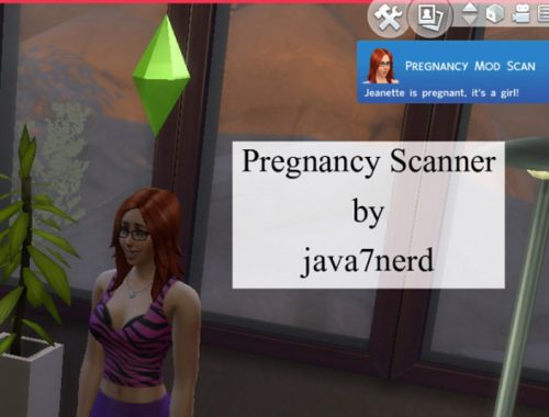 Pregnancy Mega Mod