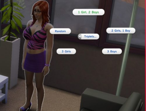 Pregnancy Mega Mod