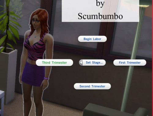 Pregnancy Mega Mod