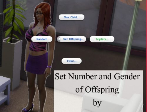 Pregnancy Mega Mod