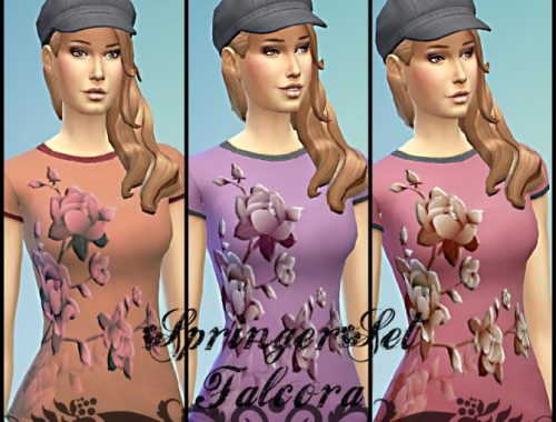 Springer Set 6x F