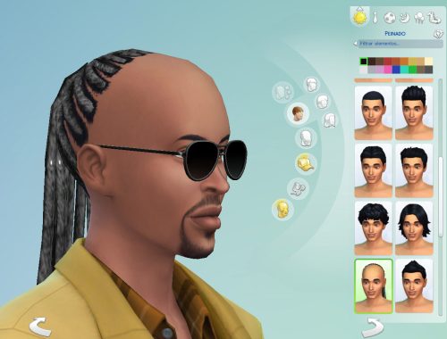 Stevie Wonder braided hair