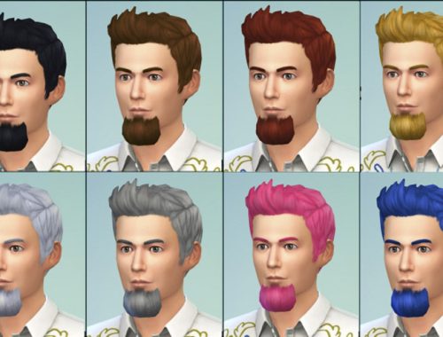 Bushy Goatee, Van Dyke and Muttonchops beards