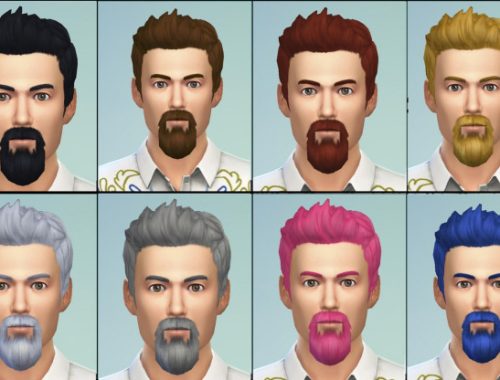 Bushy Goatee, Van Dyke and Muttonchops beards