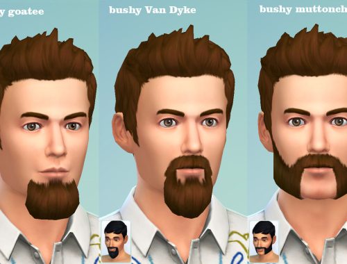 Bushy Goatee, Van Dyke and Muttonchops beards