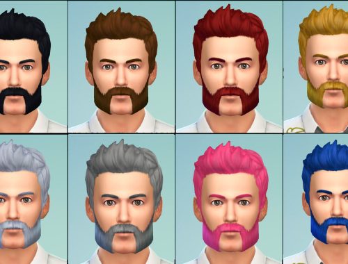 Bushy Goatee, Van Dyke and Muttonchops beards