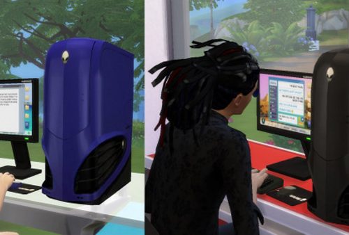 MaxoidMonkeys Alienware PC
