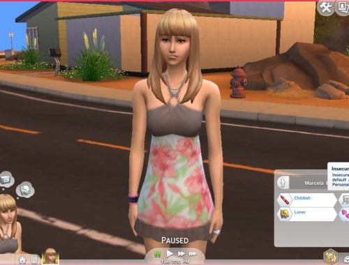 NEW TRAIT Insecure