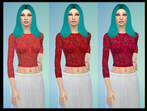 Lace Crop tops recolor