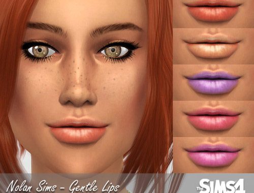 Clothes, eyes, lips and blush