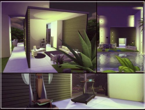 NIGHT GARDEN HOUSE