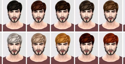 STRAIGHT BANGS RECOLORED