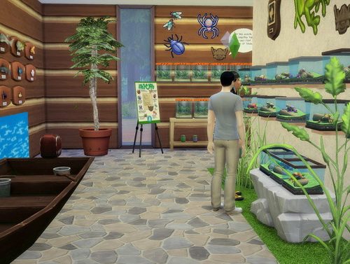 Creepy Crawlers Museum