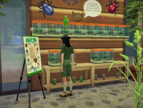 Creepy Crawlers Museum