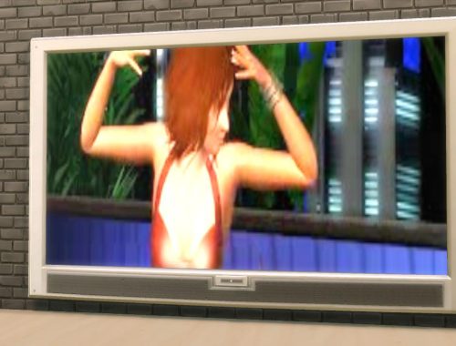 TS3 4×1 Wall Show Television