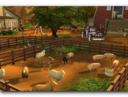 Bob farm