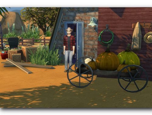 Bob farm