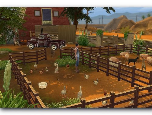 Bob farm