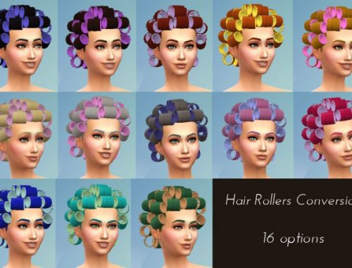 Hair Rollers Conversion