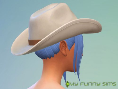 Nefertari ponytail hair