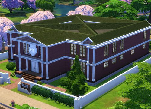 Elementary School