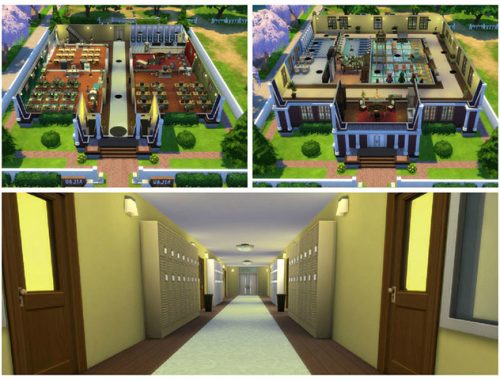 Elementary School