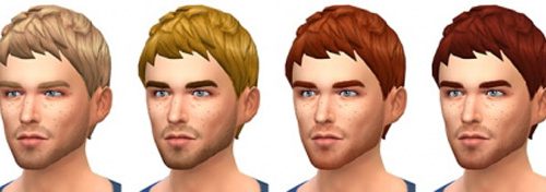 Le Zéphyr haircut