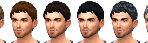 Le Zéphyr haircut