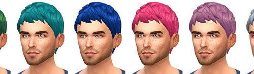 Le Zéphyr haircut