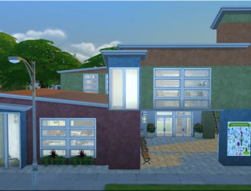 Elementary School