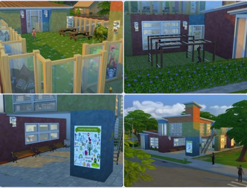 Elementary School