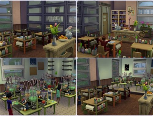 Elementary School