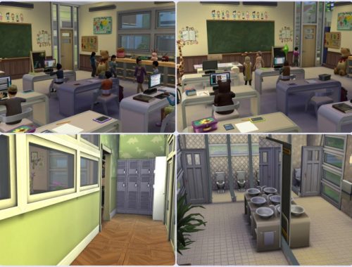 Elementary School