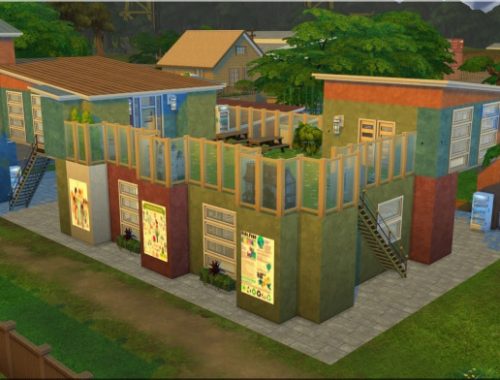 Elementary School