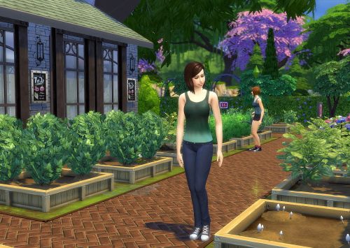 Garden Center
