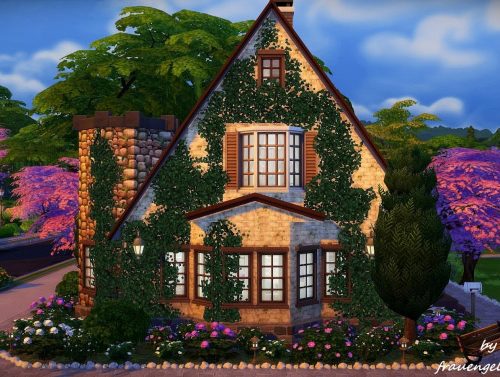 Lavender house