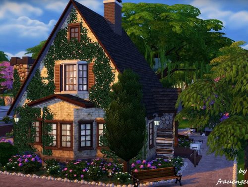 Lavender house