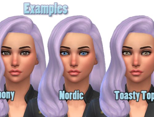 Lionspaus Masterpiece Eyes (TS2 to TS4)