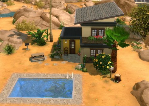 Aloe Starter house