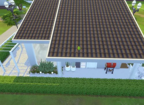 Delicate Compact House