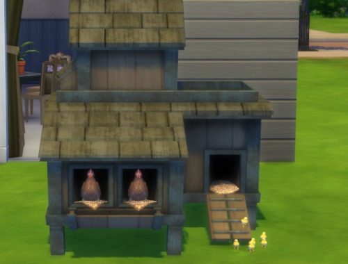 Country Living Conversion